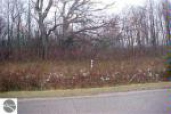 N/A Main Street PARCEL A Au Gres, MI 48703