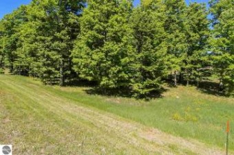 0018 Heather Ridge Trail Beulah, MI 49617