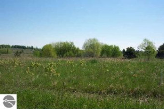 LOT 7 Torch Hills Lane Rapid City, MI 49676