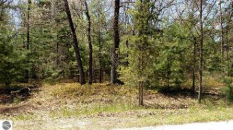 N/A Golfview Court LOT 16 Au Gres, MI 48703