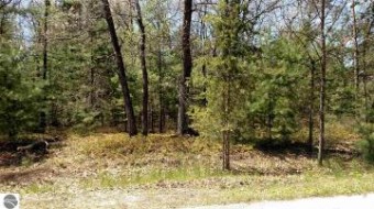 N/A Golfview Court LOT 16 Au Gres, MI 48703