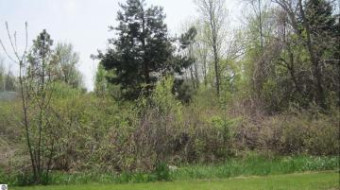 TBD LOT 49 Leona Drive LOT 49 Mt. Pleasant, MI 48858