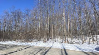 LOT 30 Troon South Bellaire, MI 49615