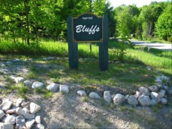 LOT 22 S Bluff Lane Cedar, MI 49621