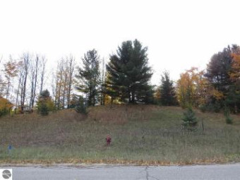 LOT 61 Eden Street Kingsley, MI 49649