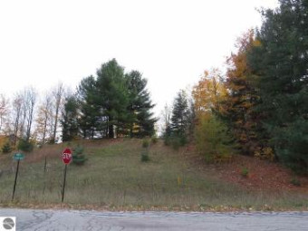 LOT 62 Eden Street Kingsley, MI 49649