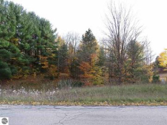 LOT 63 Eden Street Kingsley, MI 49649