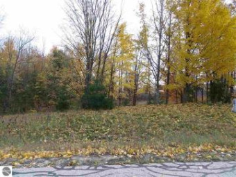 LOT 64 Eden Street Kingsley, MI 49649