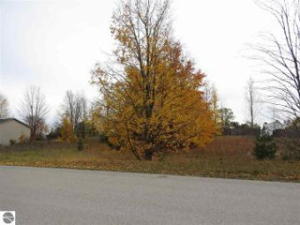 LOT 66 Eden Street Kingsley, MI 49649