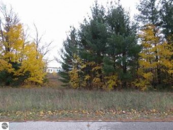 LOT 67 Eden Street Kingsley, MI 49649