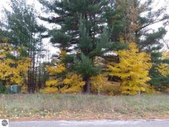 LOT 68 Eden Street Kingsley, MI 49649