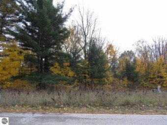 LOT 69 Eden Street Kingsley, MI 49649