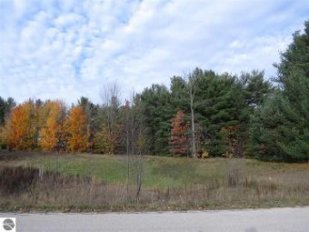 LOT 95 Eden Street Kingsley, MI 49649