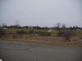 00 Track Iron Trail LOT 307 Gladwin, MI 48624