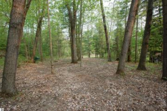 LOT 192 W Caribou Trail West Branch, MI 48661