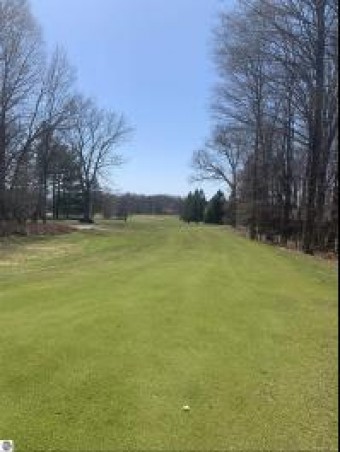 LOT 12 Golf Meadow Drive Bellaire, MI 49615