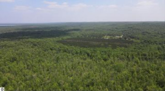 80 ACRES Traverse Road Thompsonville, MI 49683