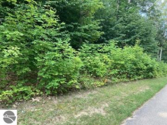 LOT 275 Robinson Ridge Bellaire, MI 49615