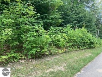 LOT 275 Robinson Ridge Bellaire, MI 49615