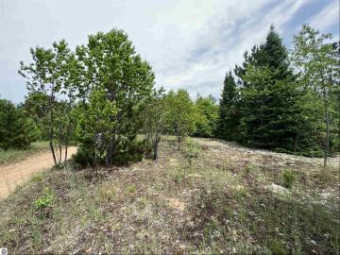 5 ACRES Little Lane Kalkaska, MI 49646