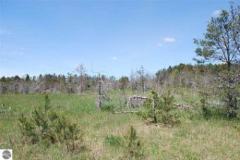 PARCEL #2 & #5 Se Riley Road Kalkaska, MI 49646