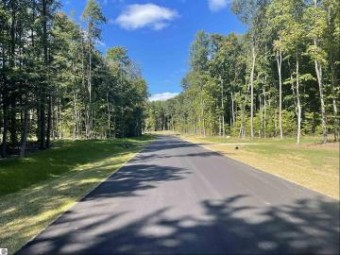 5011 Paradise Ranch LOT 2 Kingsley, MI 49649