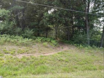 LOT 7 N Circle E Farwell, MI 48622