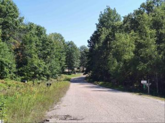 LOT 8 N Circle E Farwell, MI 48622