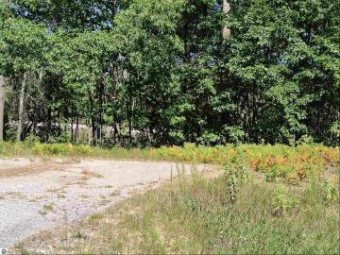 LOT 9 N Circle E Farwell, MI 48622