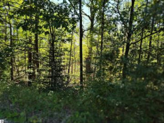 LOT 12 N Circle E Farwell, MI 48622