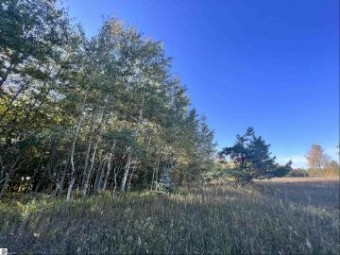 LOT 1 Mesa Drive Kalkaska, MI 49646