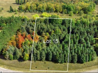 LOT 15 Lipp Farm Road Benzonia, MI 49616