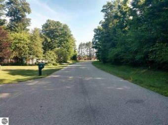 LOT 16 Lipp Farm Road Benzonia, MI 49616