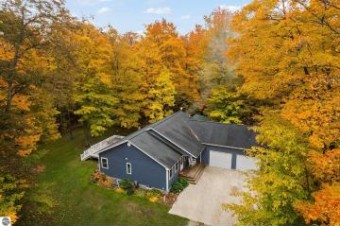 1585 Woodsborough Drive Alden, MI 49612