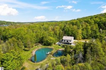 1399 S Lake Leelanau Drive Lake Leelanau, MI 49653