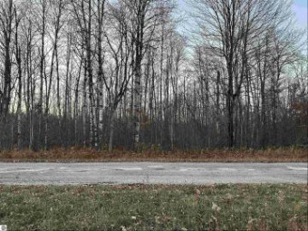 LOT 378 Hillview Drive Elmira, MI 49730