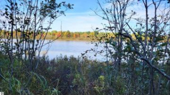 LOT 121 W Birch Shores Drive Trout Lake, MI 49793