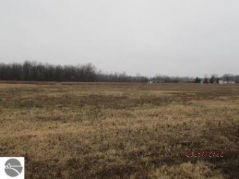 TBD E Pickard Road LOT #3 Mt. Pleasant, MI 48858