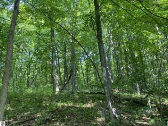 LOT 71 Birch View Trail Lake Ann, MI 49650