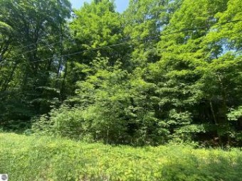 LOT 72 Birch View Trail Lake Ann, MI 49650