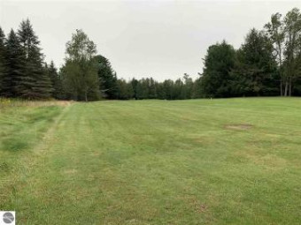 LOT 3 Fairway Lane Cadillac, MI 49601