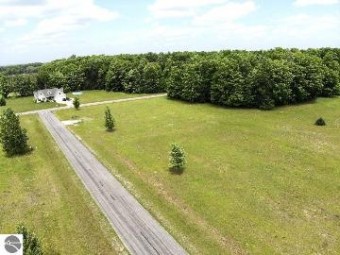 LOT 9 Pleasant Hill Drive Cadillac, MI 49601