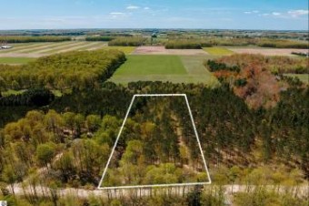 PARCEL A Rahe Road Kingsley, MI 49649