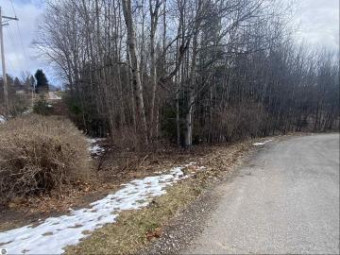 LOT 32 Scenic Hills Drive Williamsburg, MI 49690