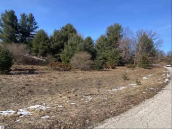 LOT 36 Kirkridge Drive Williamsburg, MI 49690