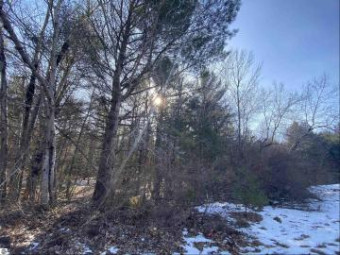 LOT 45 Scenic Hills Drive Williamsburg, MI 49690