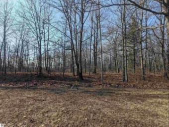 N/A Huron Woods Drive Tawas City, MI 48763