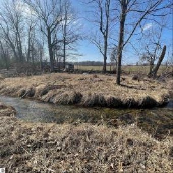 VACANT LAND Elm Road Farwell, MI 48622