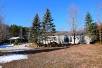 6676 Kilmer Road Alanson, MI 49706