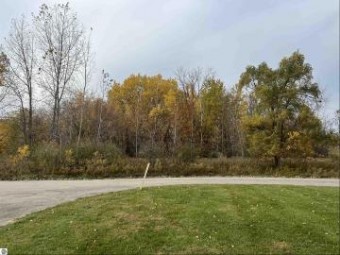 LOT 11 Mcdonald Drive Mt. Pleasant, MI 48858